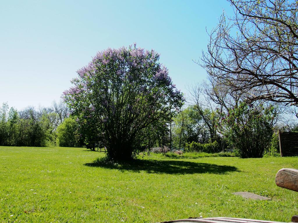 Gite De Charme Au Bord Du Tarn Marssac-sur-Tarn ภายนอก รูปภาพ